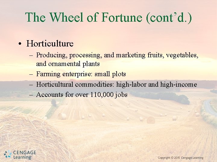 The Wheel of Fortune (cont’d. ) • Horticulture – Producing, processing, and marketing fruits,