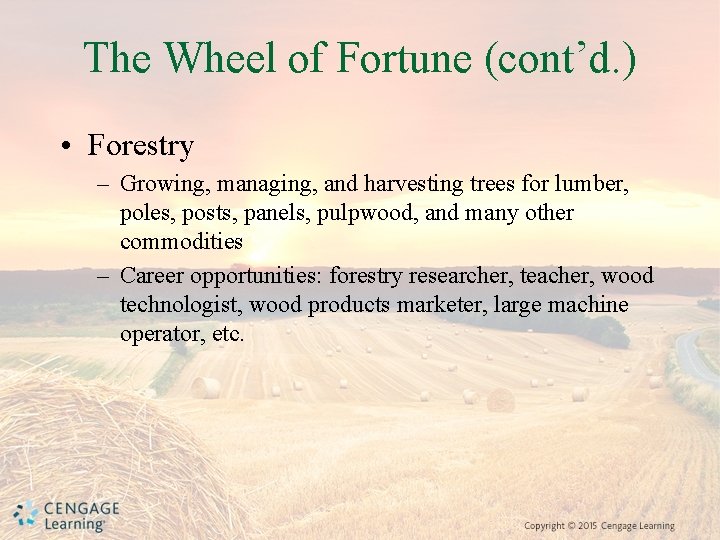 The Wheel of Fortune (cont’d. ) • Forestry – Growing, managing, and harvesting trees