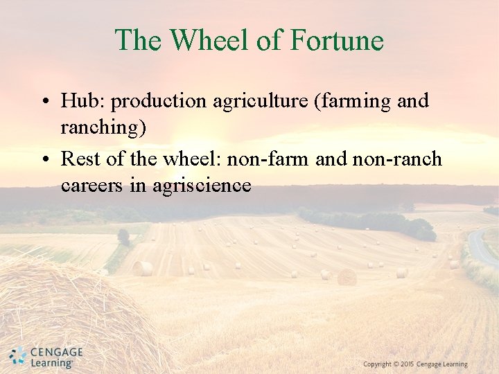 The Wheel of Fortune • Hub: production agriculture (farming and ranching) • Rest of