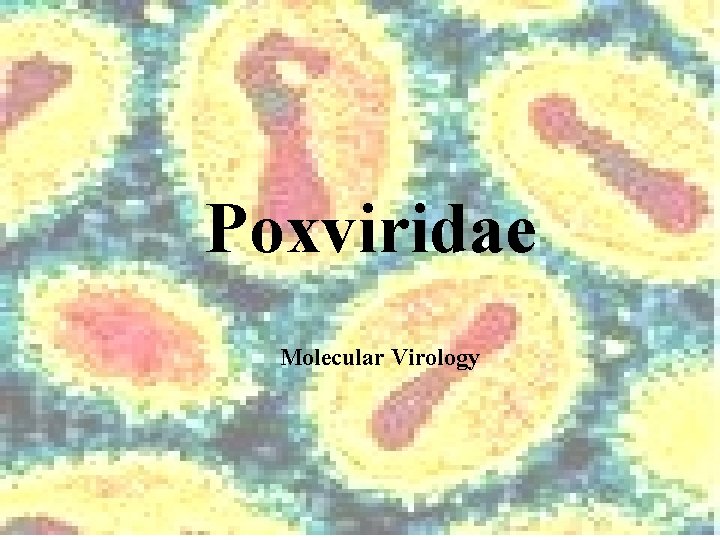 Poxviridae Molecular Virology 