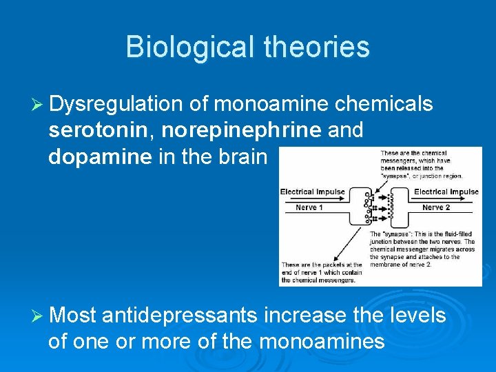 Biological theories Ø Dysregulation of monoamine chemicals serotonin, norepinephrine and dopamine in the brain