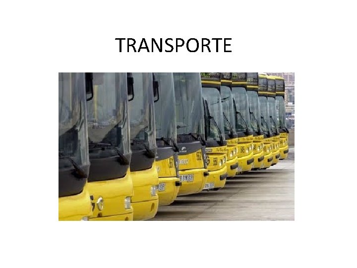 TRANSPORTE TRANSPORTE