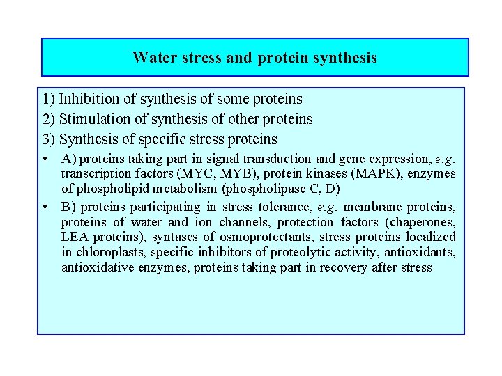 Water stress and protein synthesis 1) Inhibition of synthesis of some proteins 2) Stimulation