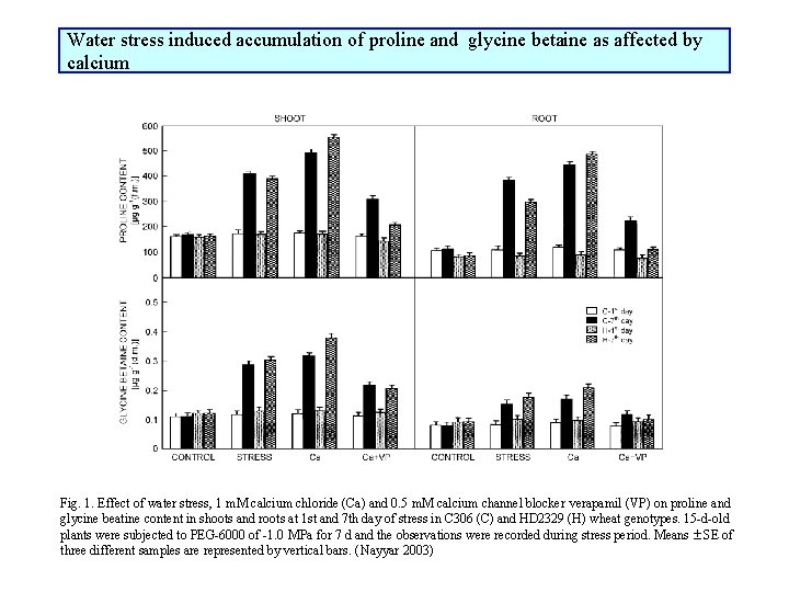 Water stress induced accumulation of proline and glycine betaine as affected by calcium Fig.