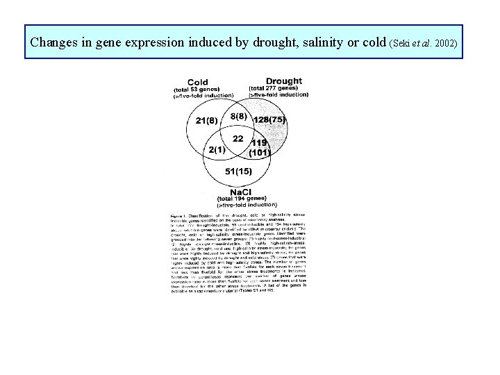 Changes in gene expression induced by drought, salinity or cold (Seki et al. 2002)