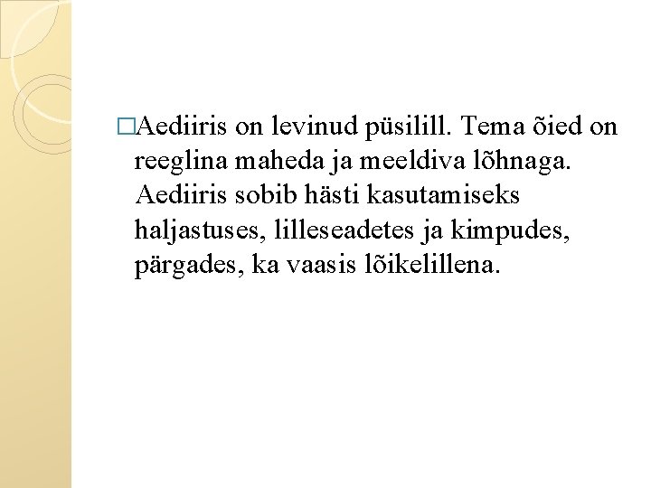 �Aediiris on levinud püsilill. Tema õied on reeglina maheda ja meeldiva lõhnaga. Aediiris sobib