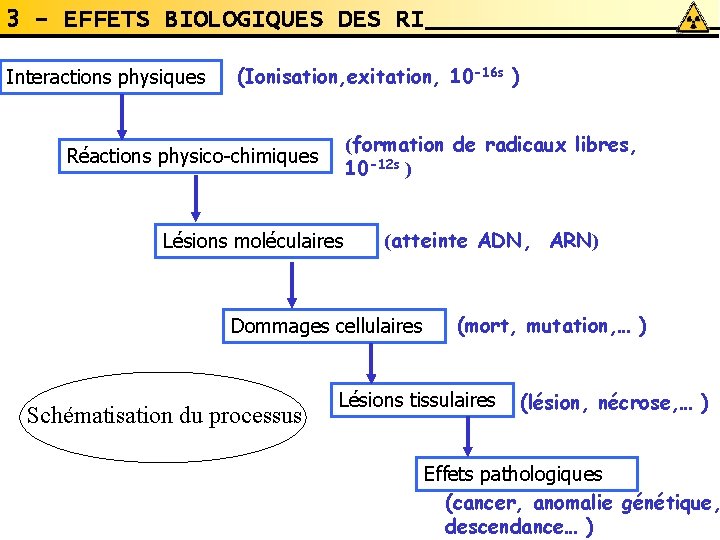 3 - EFFETS BIOLOGIQUES DES RI Interactions physiques (Ionisation, exitation, 10 -16 s ) 3 - EFFETS BIOLOGIQUES DES RI Interactions physiques (Ionisation, exitation, 10 -16 s )