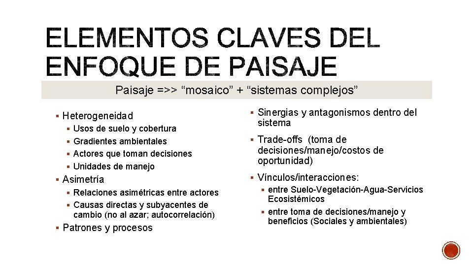 Paisaje =>> “mosaico” + “sistemas complejos” § Heterogeneidad § Usos de suelo y cobertura