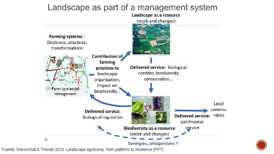 Fuente: Deconchat & Thenail 2014. Landscape agroceoly: from patterns to resilience (PPT) 