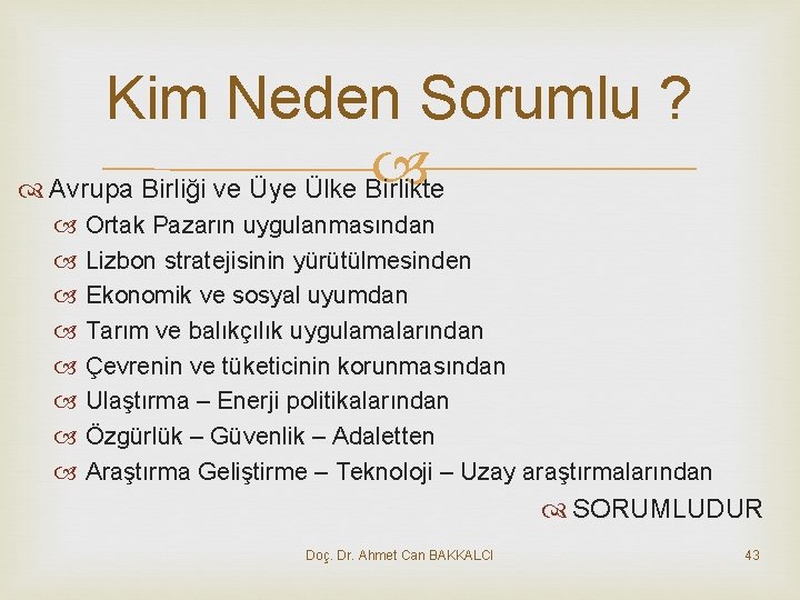 Kim Neden Sorumlu ? Avrupa Birliği ve Üye Ülke Birlikte Ortak Pazarın uygulanmasından Lizbon