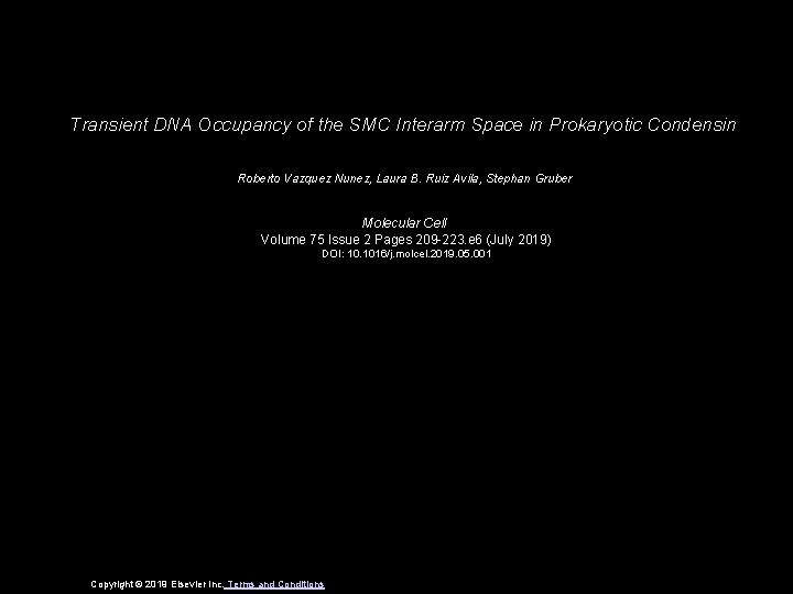 Transient DNA Occupancy of the SMC Interarm Space in Prokaryotic Condensin Roberto Vazquez Nunez,