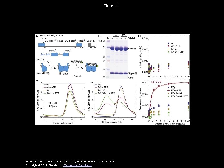 Figure 4 Molecular Cell 2019 75209 -223. e 6 DOI: (10. 1016/j. molcel. 2019.