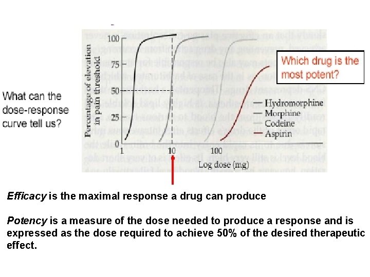 Efficacy is the maximal response a drug can produce Potency is a measure of Efficacy is the maximal response a drug can produce Potency is a measure of