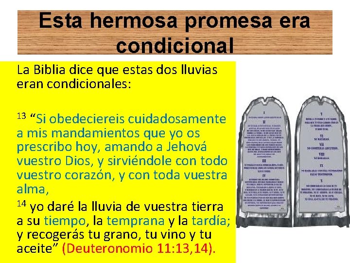 Esta hermosa promesa era condicional La Biblia dice que estas dos lluvias eran condicionales: Esta hermosa promesa era condicional La Biblia dice que estas dos lluvias eran condicionales: