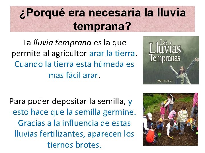 ¿Porqué era necesaria la lluvia temprana? La lluvia temprana es la que permite al ¿Porqué era necesaria la lluvia temprana? La lluvia temprana es la que permite al