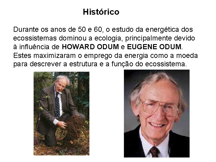 Histórico Durante os anos de 50 e 60, o estudo da energética dos ecossistemas