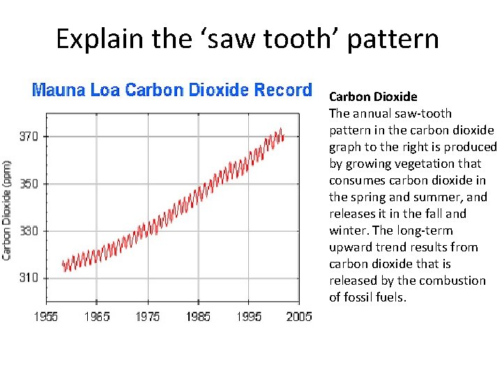 Explain the ‘saw tooth’ pattern Carbon Dioxide The annual saw-tooth pattern in the carbon