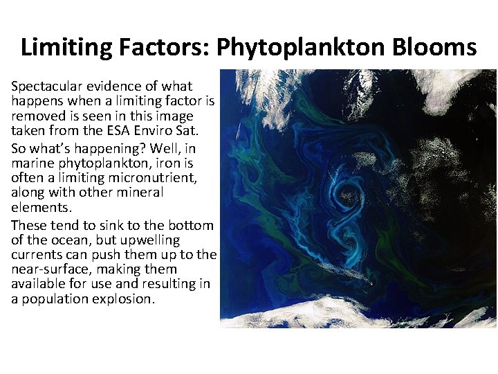 Limiting Factors: Phytoplankton Blooms Spectacular evidence of what happens when a limiting factor is