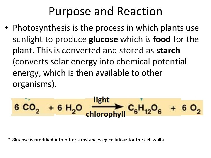 Photosynthesis Purpose and Reaction Photosynthesis is the process