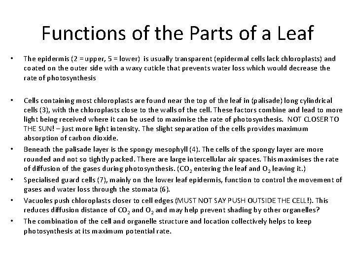 Functions of the Parts of a Leaf • The epidermis (2 = upper, 5