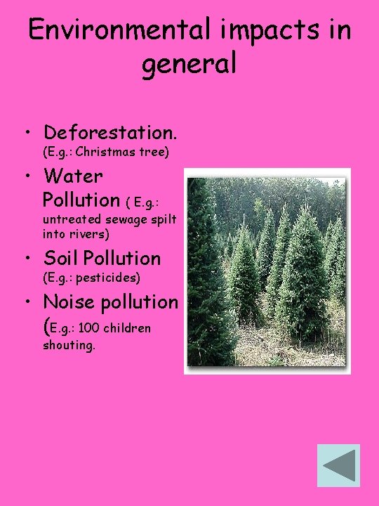 Environmental impacts in general • Deforestation. (E. g. : Christmas tree) • Water Pollution Environmental impacts in general • Deforestation. (E. g. : Christmas tree) • Water Pollution