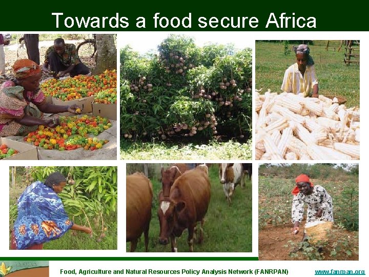 Towards a food secure Africa Thanks you Food, Agriculture and Natural Resources Policy Analysis