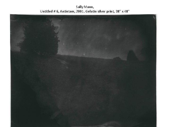 Sally Mann, Untitled # 6, Antietam, 2001. Gelatin silver print, 38" x 48" 