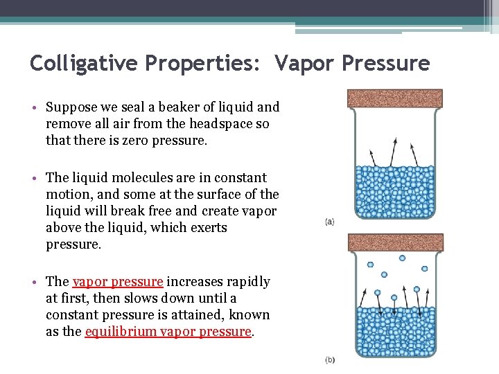 Colligative Properties: Vapor Pressure • Suppose we seal a beaker of liquid and remove