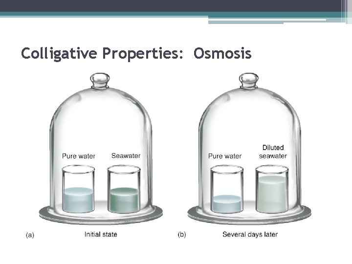 Colligative Properties: Osmosis 