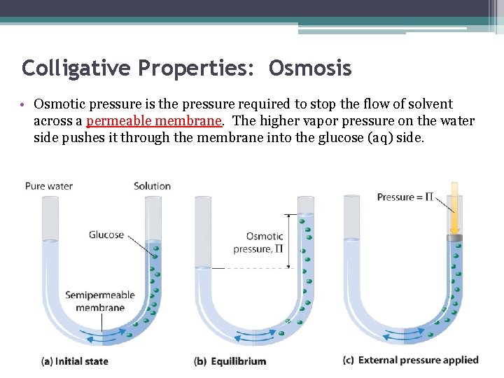 Colligative Properties: Osmosis • Osmotic pressure is the pressure required to stop the flow