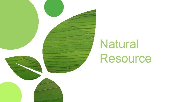 Natural Resource 