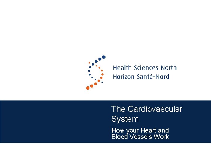 The Cardiovascular System How your Heart and Blood Vessels Work 