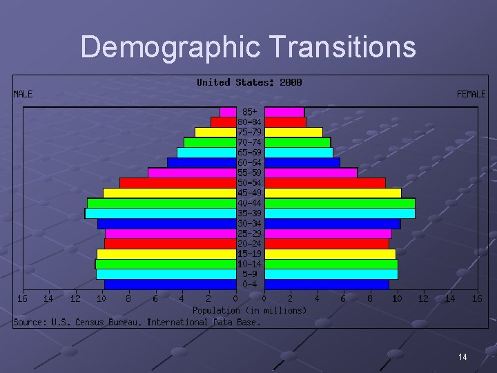 Demographic Transitions 14 