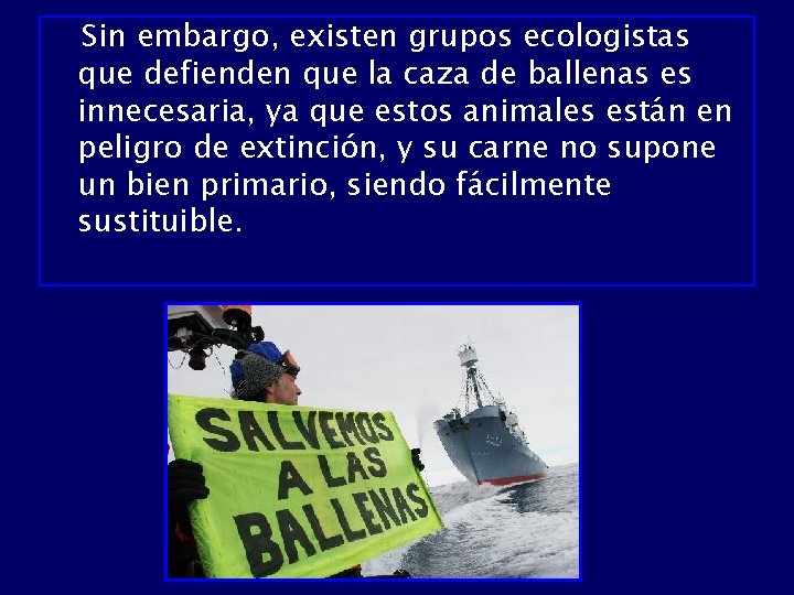 Sin embargo, existen grupos ecologistas que defienden que la caza de ballenas es innecesaria,