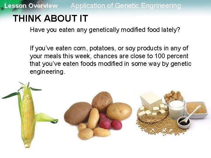 Lesson Overview Application of Genetic Engrineering THINK ABOUT IT Have you eaten any genetically