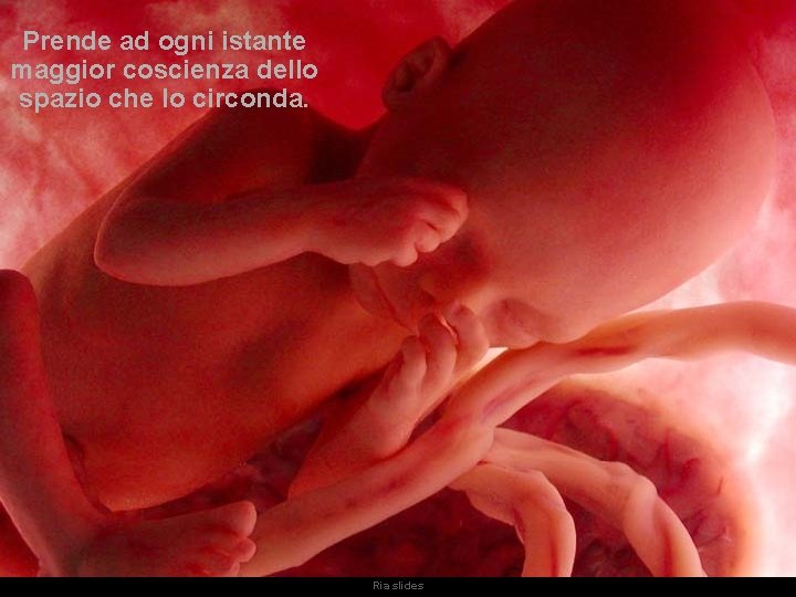Prende ad ogni istante maggior coscienza dello spazio che lo circonda. Ria slides 