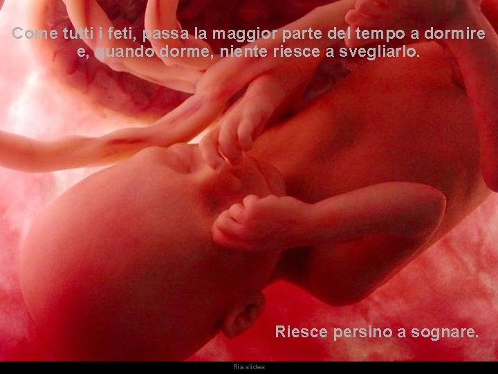 Come tutti i feti, passa la maggior parte del tempo a dormire e, quando