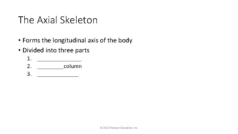 The Axial Skeleton • Forms the longitudinal axis of the body • Divided into