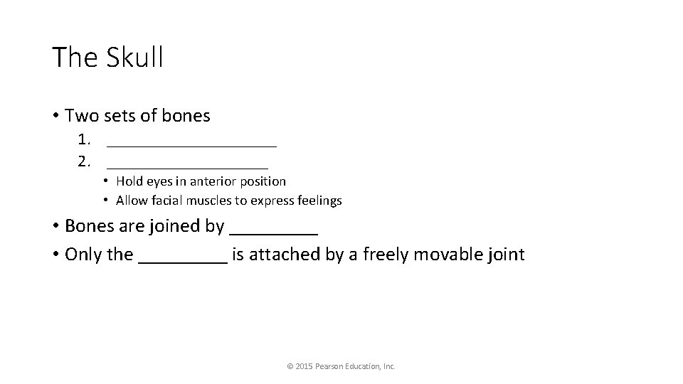 The Skull • Two sets of bones 1. __________ 2. __________ • Hold eyes