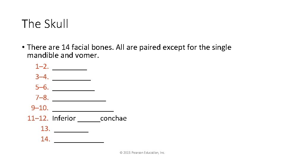 The Skull • There are 14 facial bones. All are paired except for the