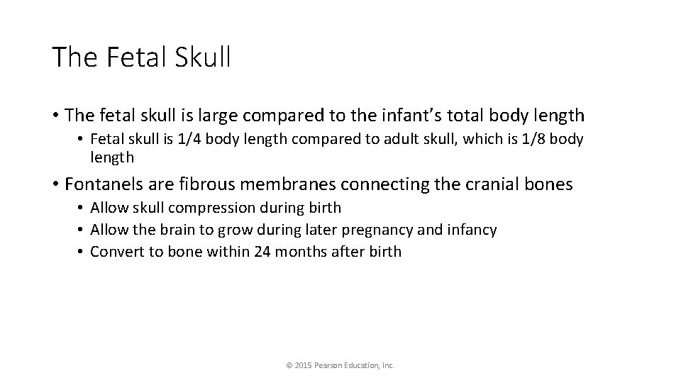 The Fetal Skull • The fetal skull is large compared to the infant’s total