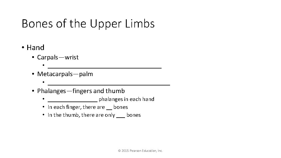 Bones of the Upper Limbs • Hand • Carpals—wrist • ____________________ • Metacarpals—palm •