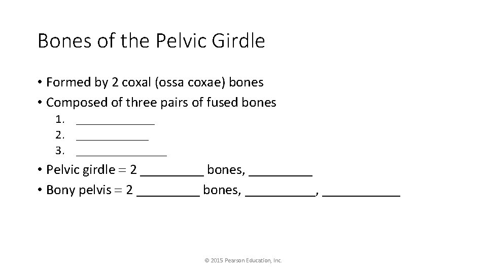 Bones of the Pelvic Girdle • Formed by 2 coxal (ossa coxae) bones •
