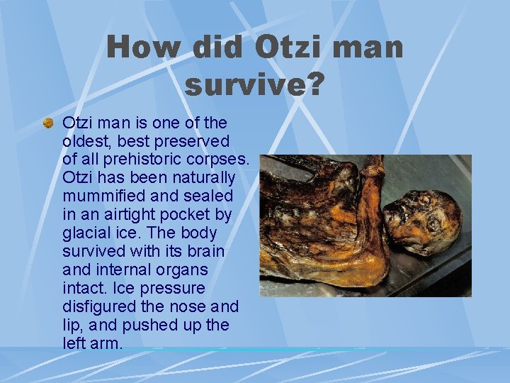 How did Otzi man survive? Otzi man is one of the oldest, best preserved