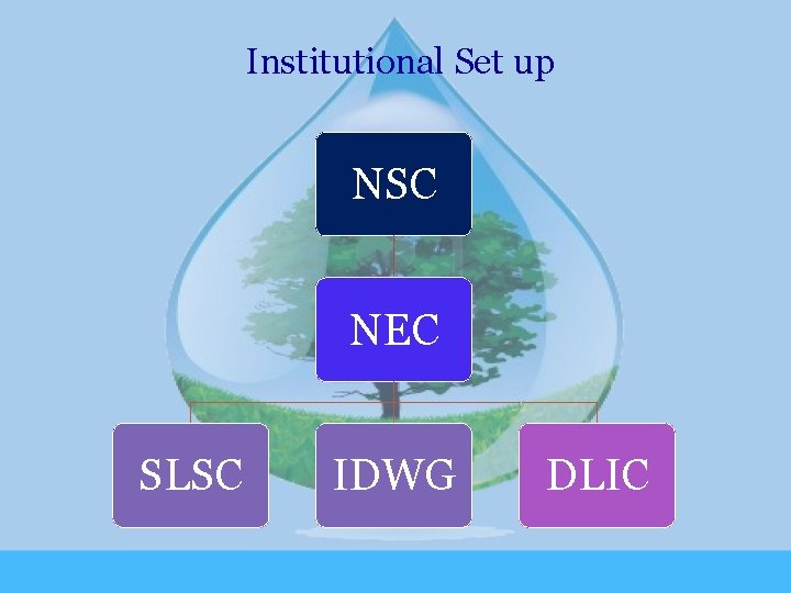 Institutional Set up NSC NEC SLSC IDWG DLIC 