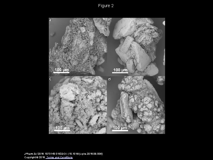 Figure 2 JPharm. Sci 2018 1073143 -3152 DOI: (10. 1016/j. xphs. 2018. 09. 006)