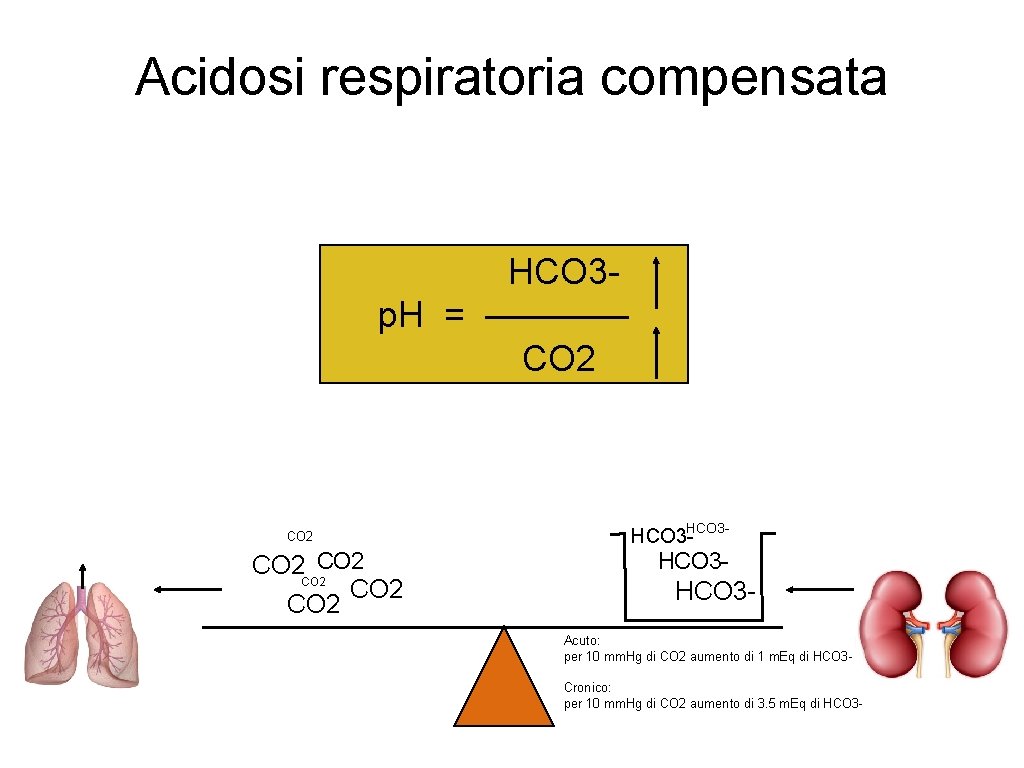Acidosi respiratoria compensata HCO 3 p. H = ———— CO 2 CO 2 HCO