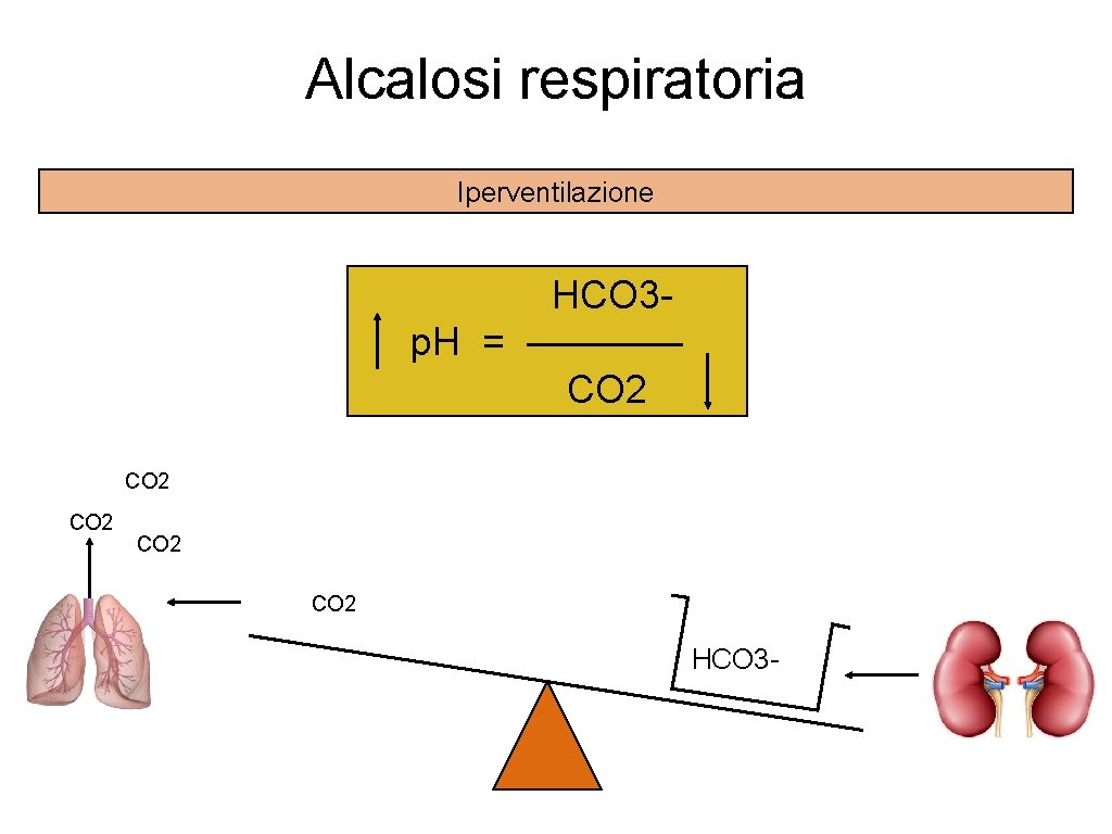 Alcalosi respiratoria Iperventilazione HCO 3 p. H = ———— CO 2 CO 2 HCO