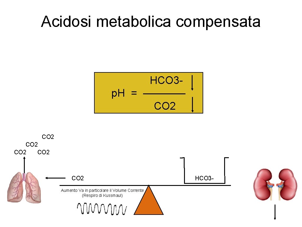 Acidosi metabolica compensata HCO 3 p. H = ———— CO 2 CO 2 Aumento