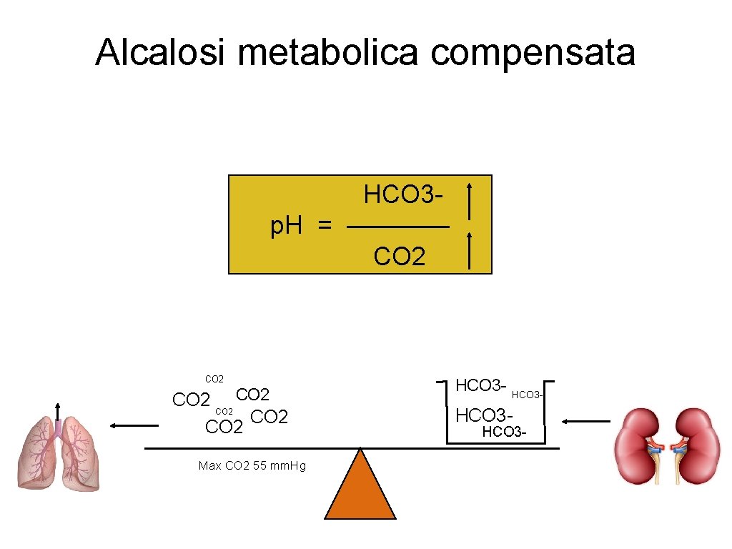 Alcalosi metabolica compensata HCO 3 p. H = ———— CO 2 CO 2 Max